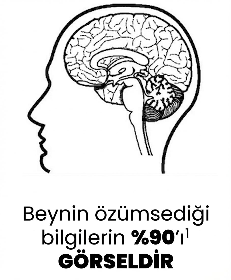 Bir insan beyninin resmi