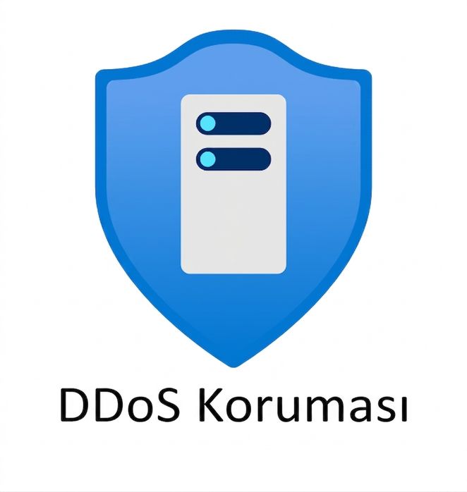 altında ddos protection yazan mavi kalkan