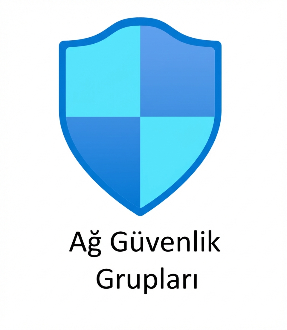 altında network security groups yazısı olan mavi kalkan