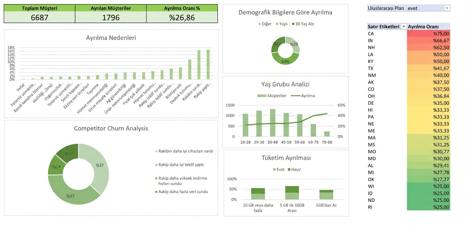 Vaka çalışmasında oluşturulan Excel panosu