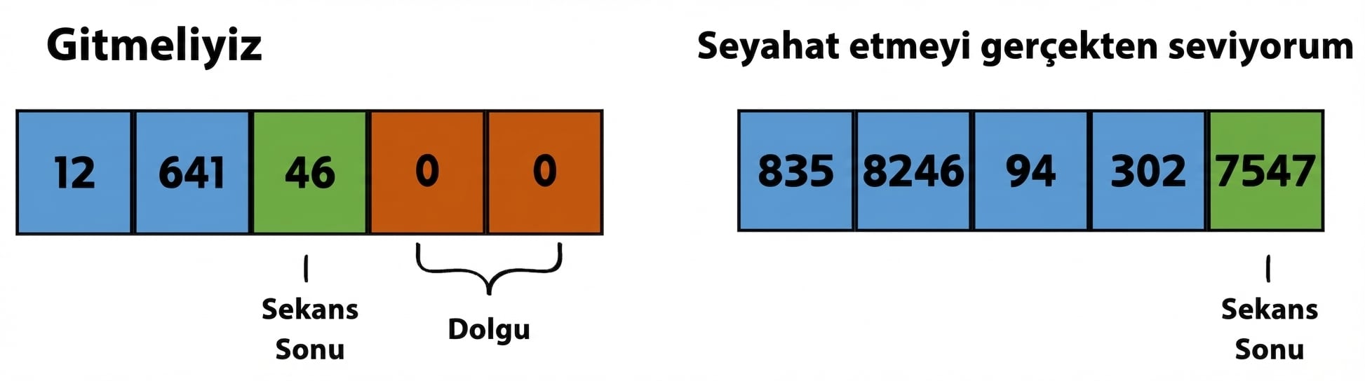 İki dizi görseli: we should go, i really like to travel. Belirteç kimlikleri, dolgu ve EOS konumlarıyla birlikte