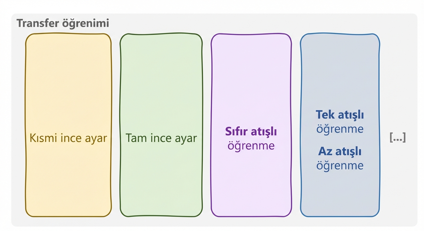 Transfer öğrenmesi paradigması