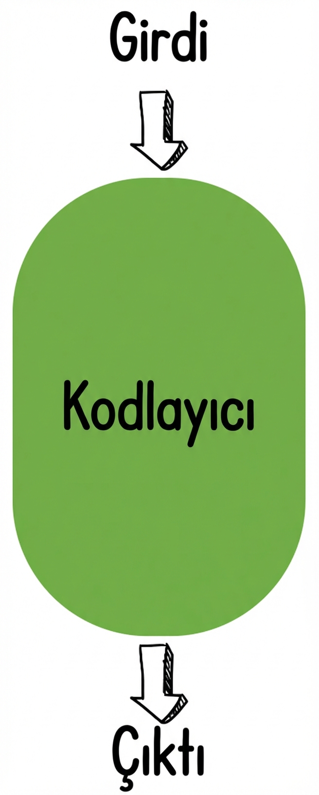 Yalnızca kodlayıcı görseli