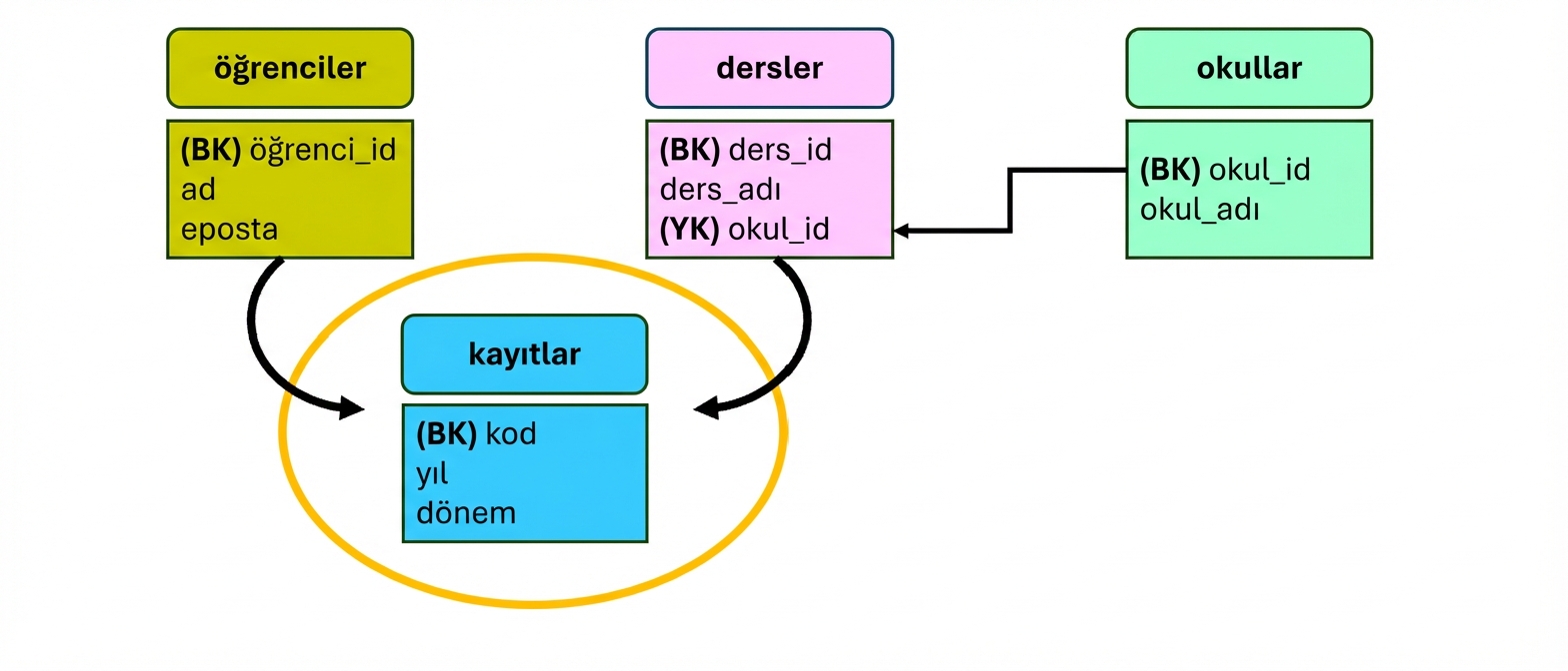 Üniversite teması modeli, yeni varlık enrollments