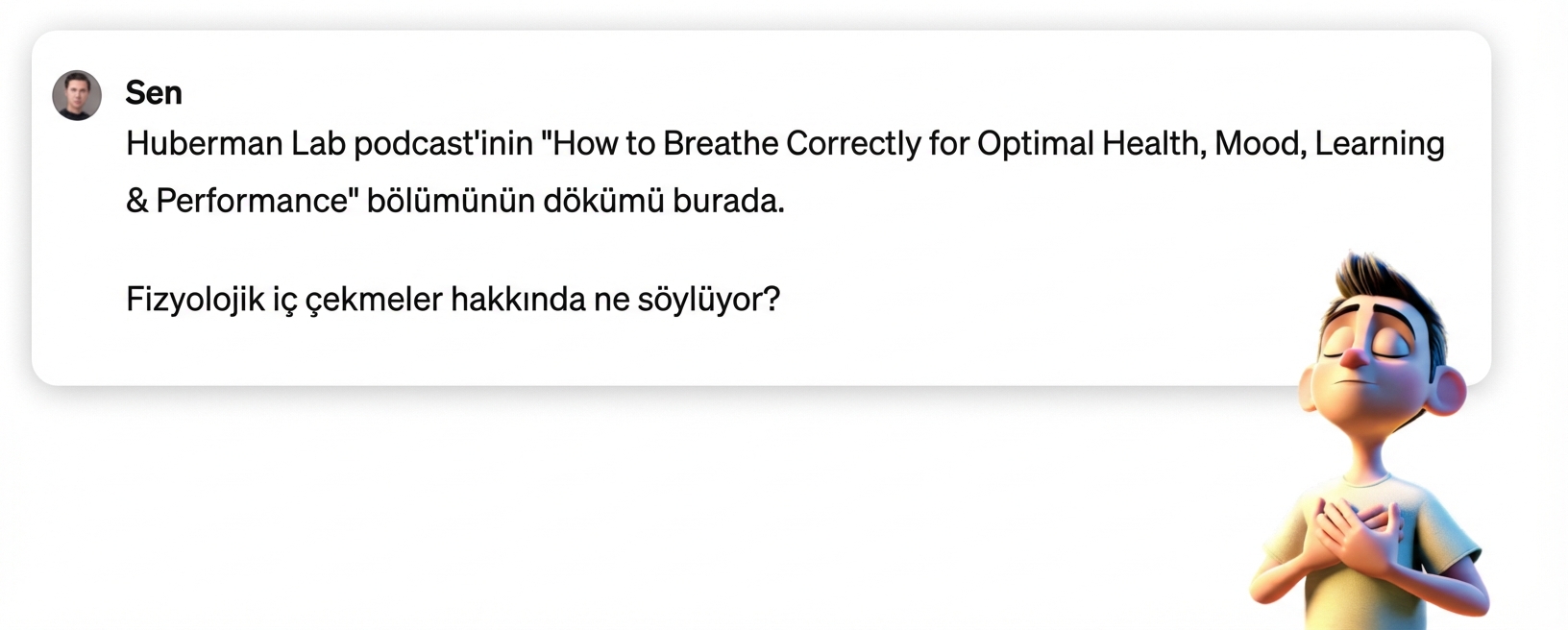 Sohbet botundan, sağlanan bir dökümden kilit noktaları yeniden ifade etmesini isteyen istem