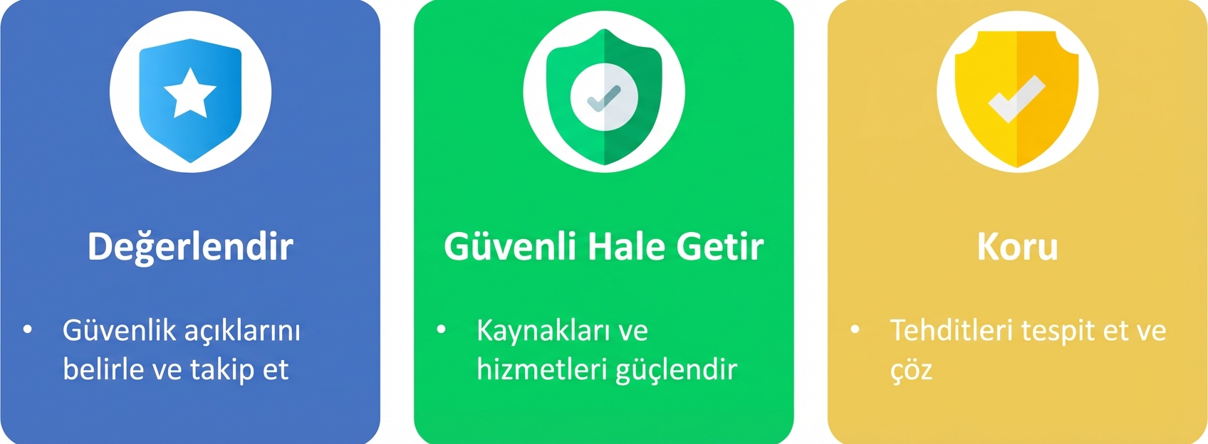 Değerlendirin, güvenceye alın ve savunun