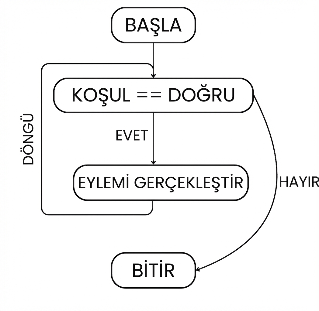 Bir while döngüsünün akışı: başlangıç > koşul sağlandı > işlem yap > döngü > koşul artık sağlanmayana kadar tekrarla
