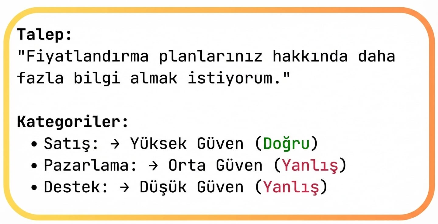 Kategori atama örneği