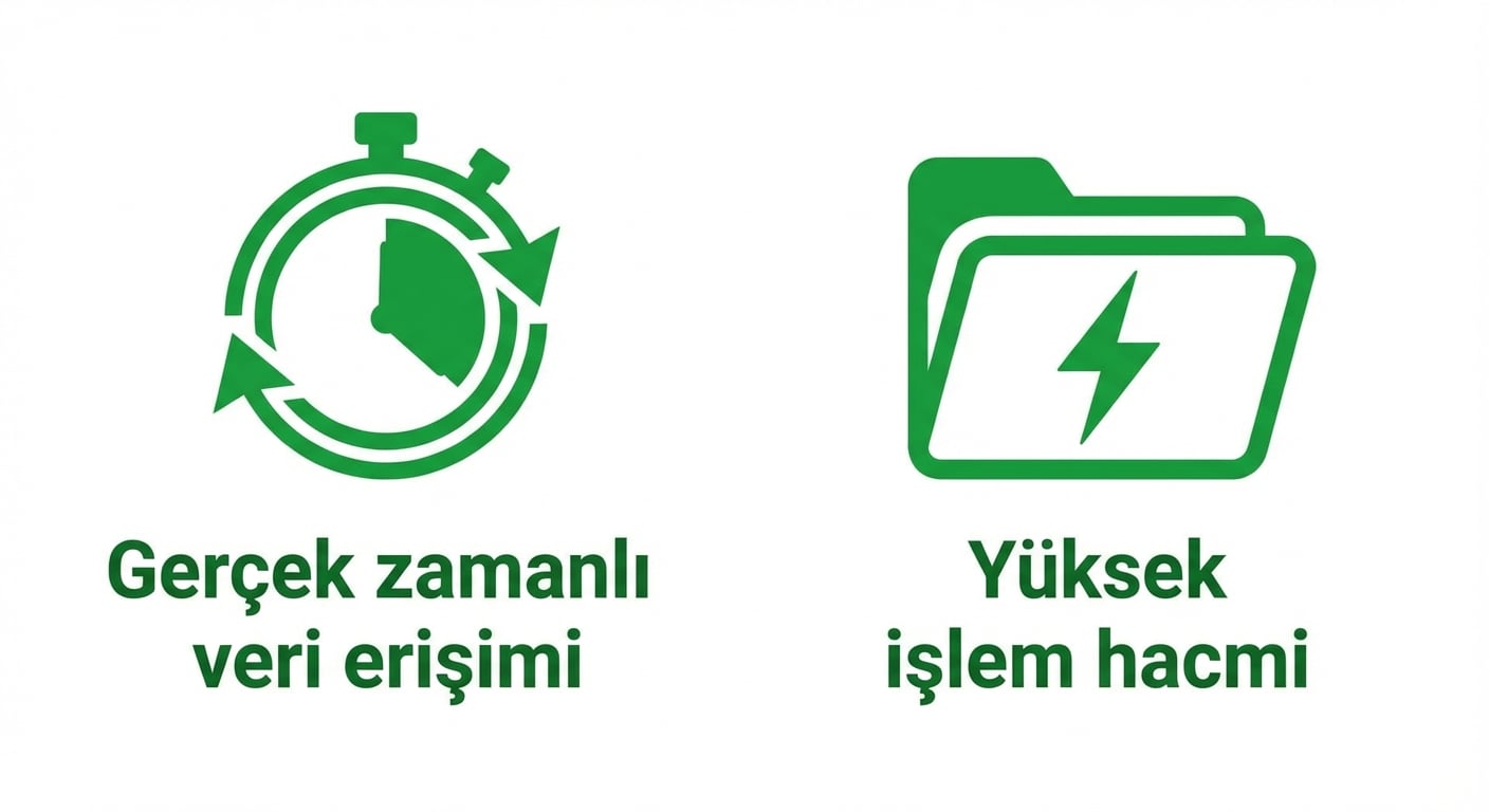 Gerçek zamanlı veri erişimi ve yüksek aktarımı gösteren iki simge.