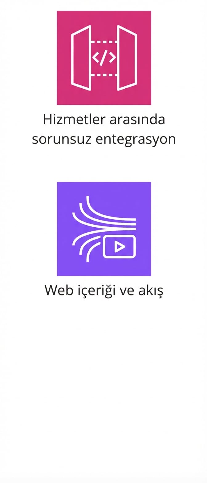 Hizmetler arası entegrasyon ve web içerik akışını gösteren simgeler.