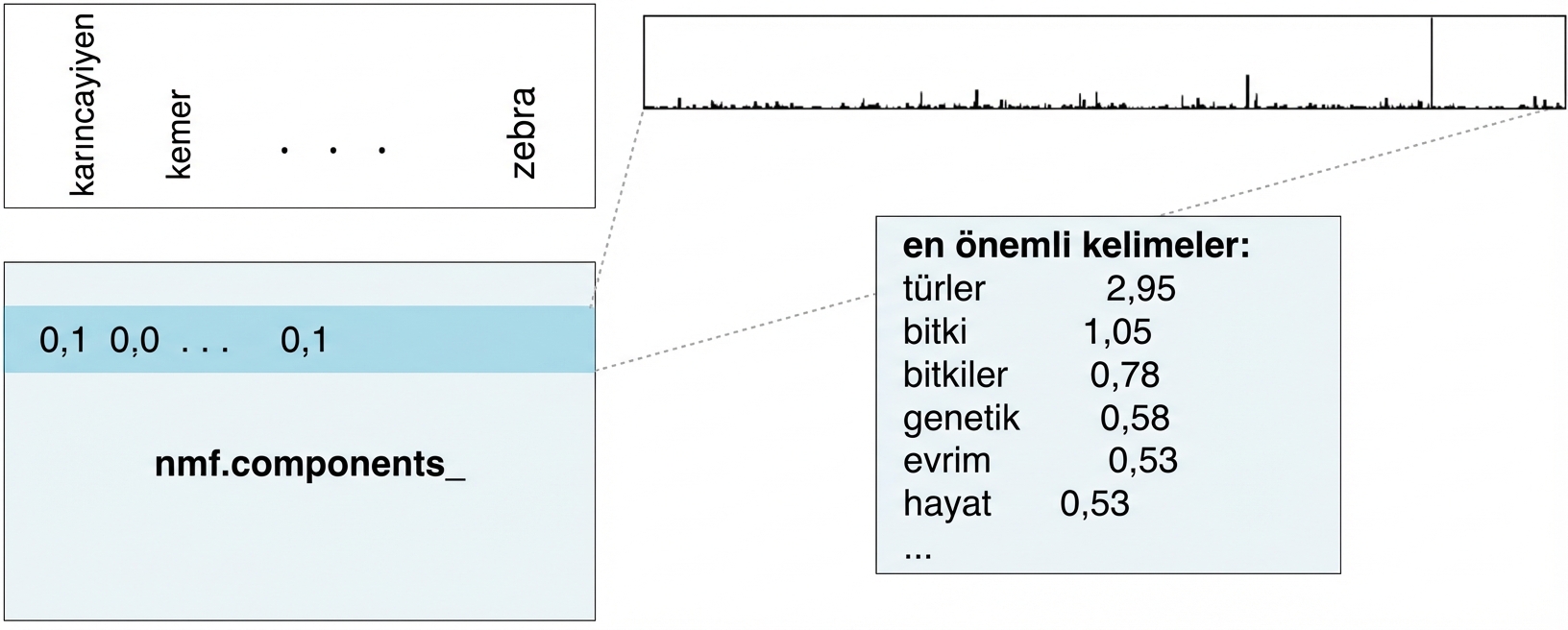 üst sözcükler ve değerleri olan kutu: species 2.95, plant 1.05, plants 0.78, vb.