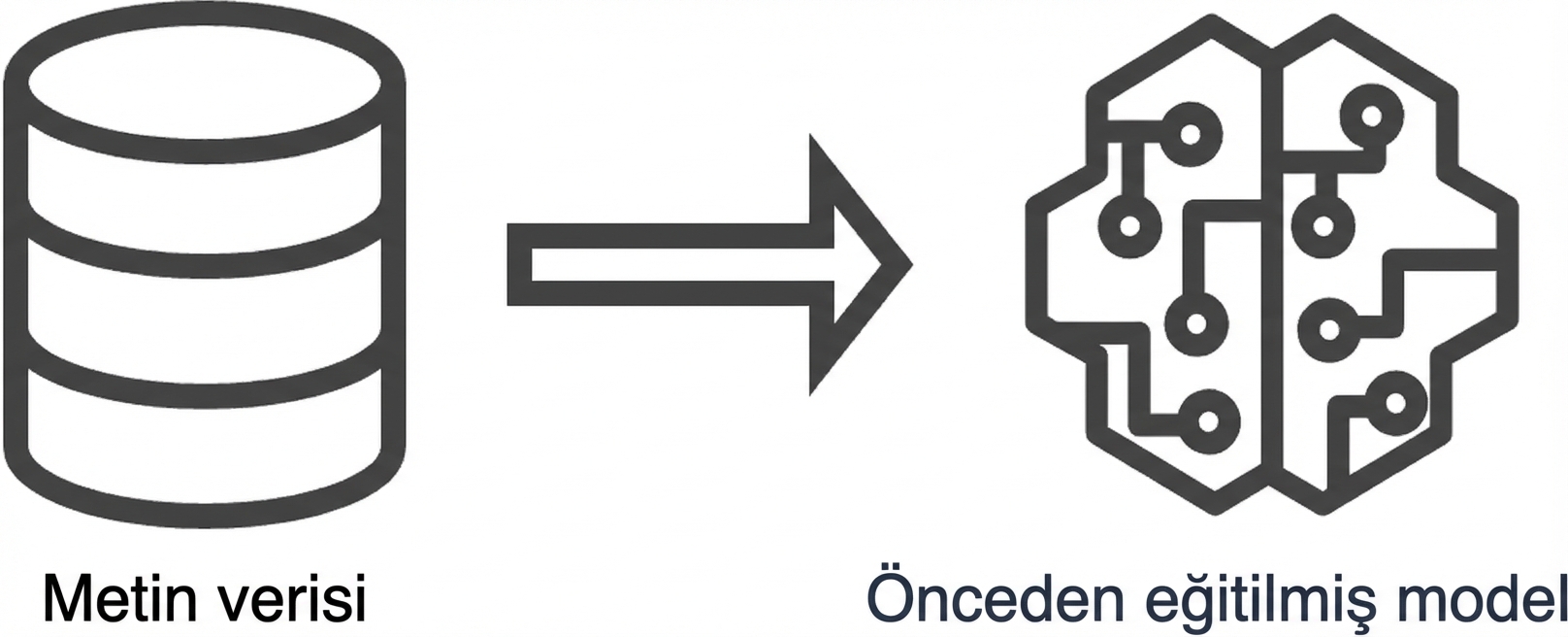 Önceden eğitilmiş bir model resmi