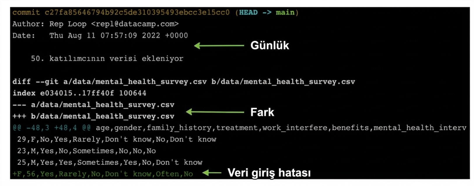 git show çıktısı: üstte git log, altta git diff ve en altta hatalı veri girişi gösteriliyor