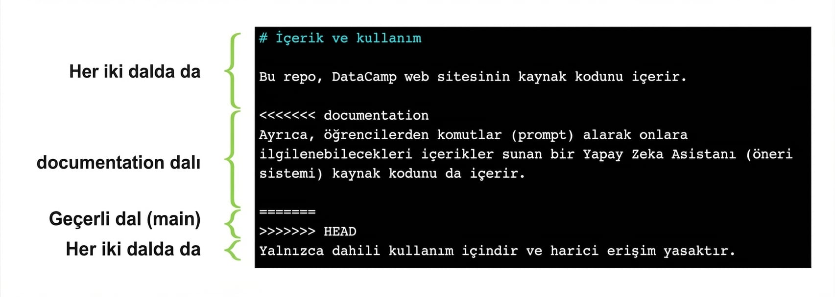 ana dal ile documentation dalındaki içerikleri gösteren açıklamalı çakışma dosyası