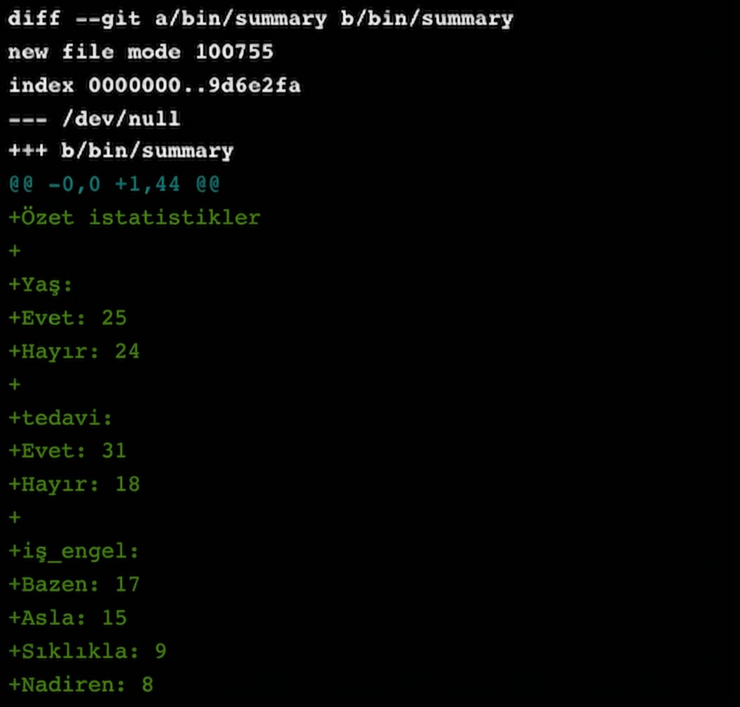git diff main summary-statistics çıktısı, kısaltılmış
