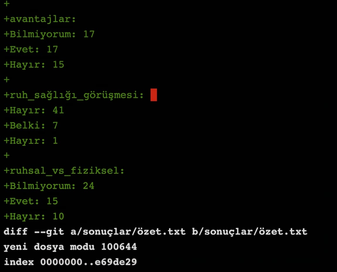 git diff main summary-statistics çıktısı, ikinci bölüm