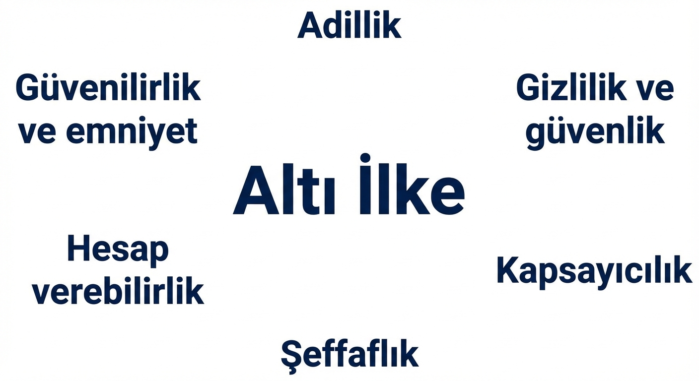“Altı ilke” ifadesi; ilkeler: adillik, gizlilik ve güvenlik, güvenilirlik ve emniyet, hesap verebilirlik, kapsayıcılık ve şeffaflık.