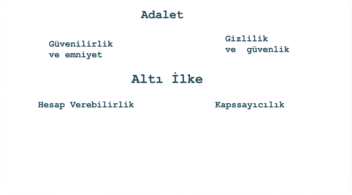 “Altı ilke” ifadesi; ilkeler: adillik, gizlilik ve güvenlik, güvenilirlik ve emniyet, hesap verebilirlik, kapsayıcılık