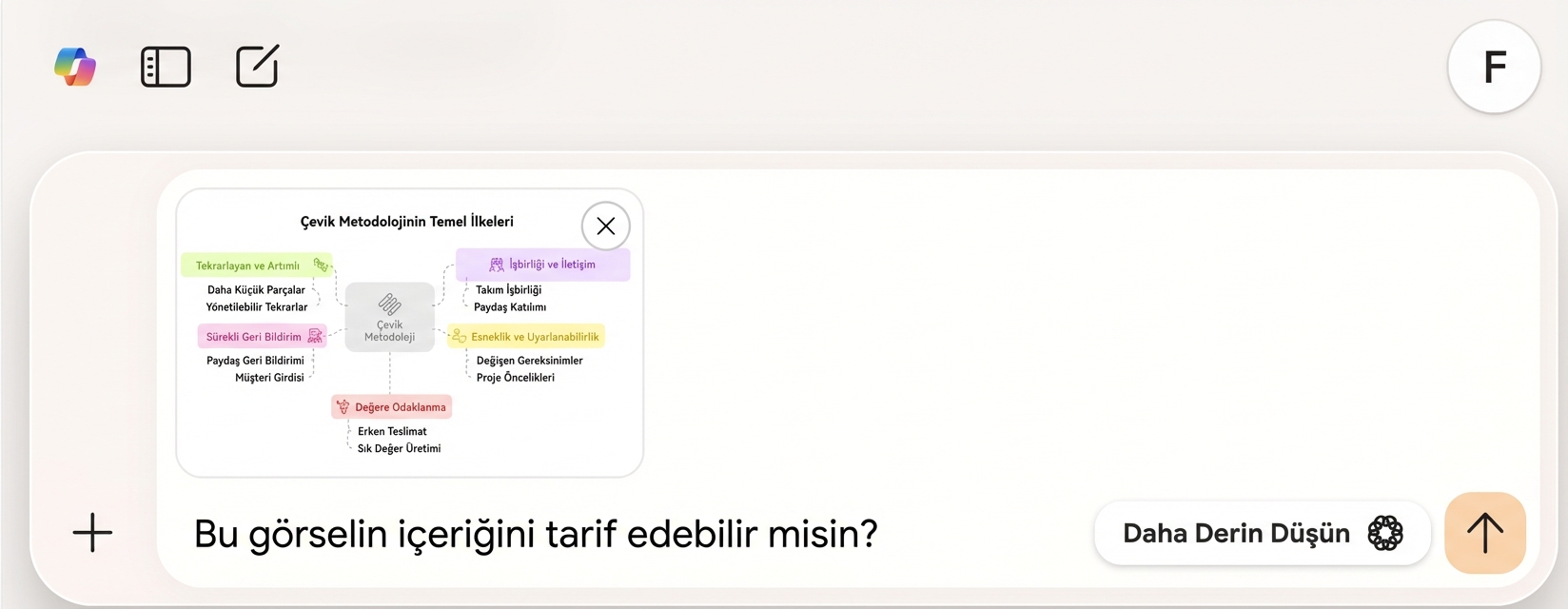 İstem: "Bu görselin içeriğini açıklayabilir misiniz?"