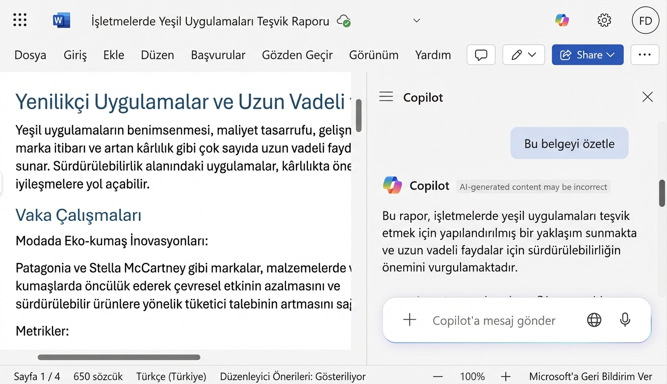 Belgenin özetini sağlayan Copilot sohbeti açık bir Word belgesi ekran görüntüsü.