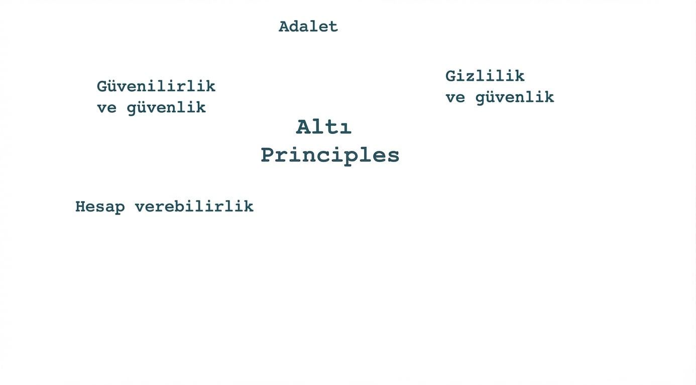 “Altı ilke” ifadesi; ilkeler: adillik, gizlilik ve güvenlik, güvenilirlik ve emniyet, hesap verebilirlik