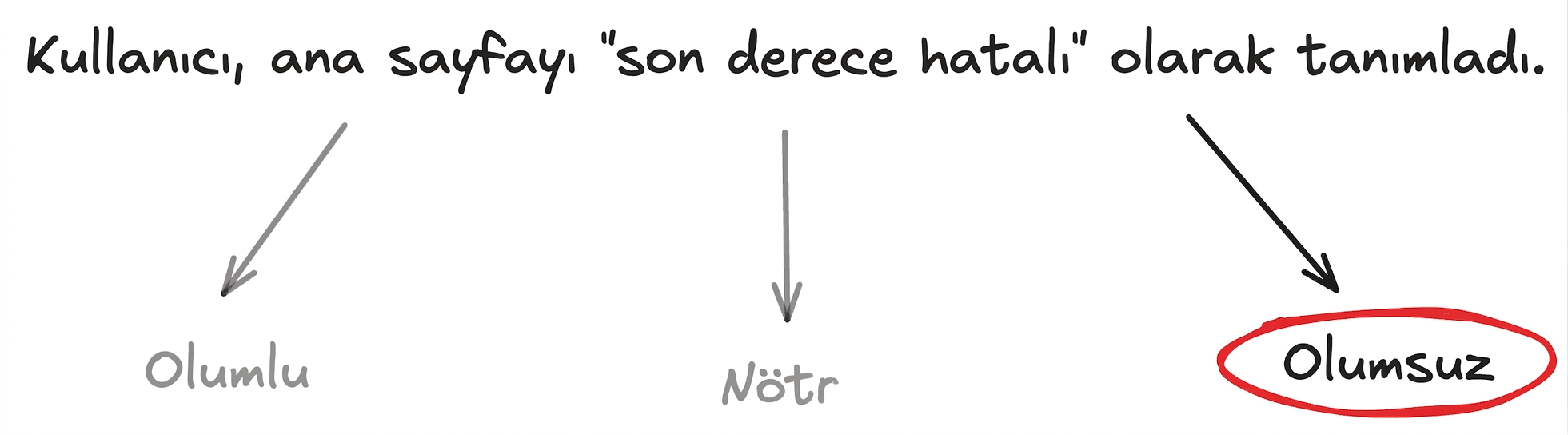 sınıflandırma örneği