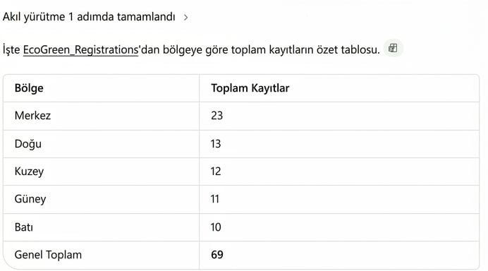 Copilot'un bölge bazında kayıt özet tablosu