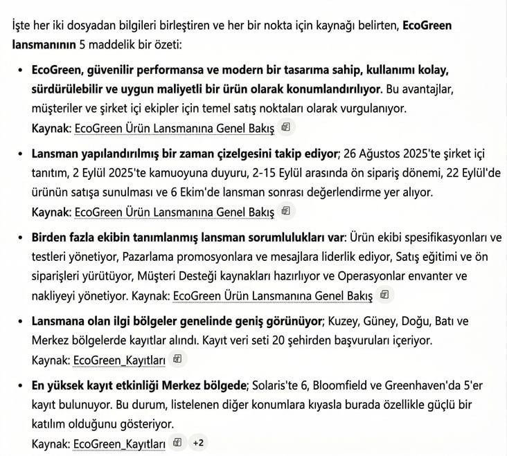 Copilot'un dosyalar arası beş maddelik özeti; her madde geldiği Word raporu veya Excel dosyasını belirtiyor