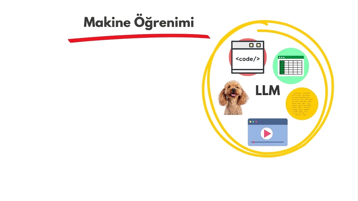 llms6.jpg