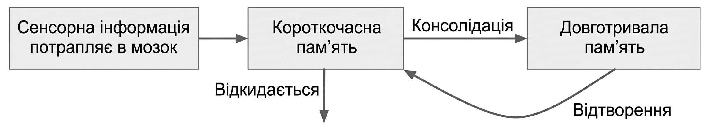 Як працює короткочасна пам'ять
