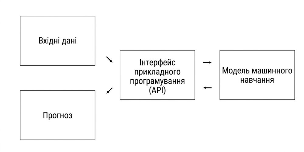 Application programming interface excluding information