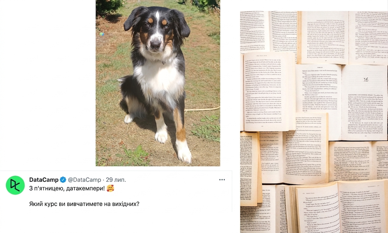 Фото собаки, зібрання книжок і твіт