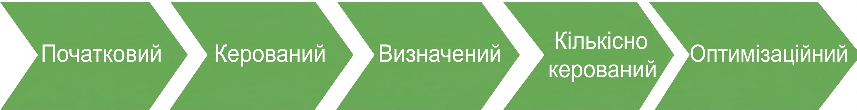 Модель зрілості даних IBM