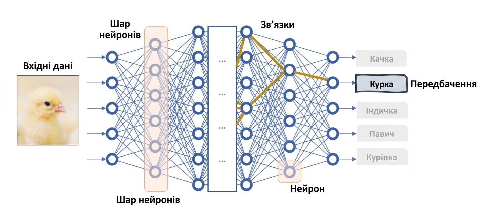 Глибока нейронна мережа як black-box модель