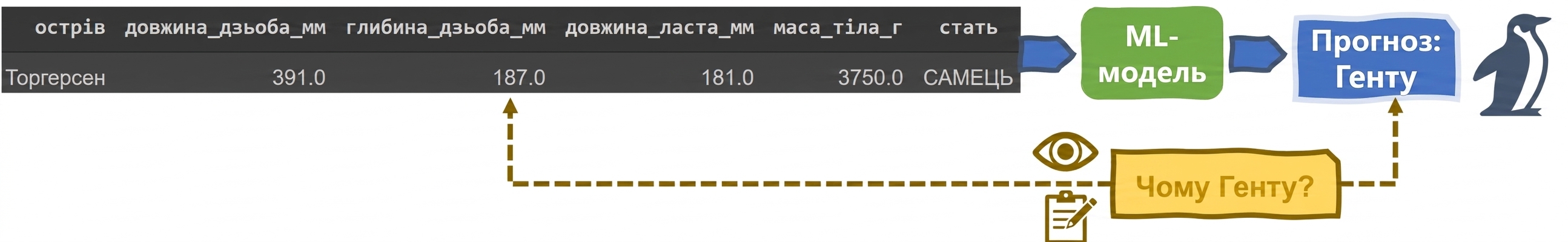Пояснюваність у класифікаторі пінгвінів ML