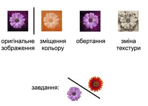 Image of a flower transformed in three ways: using rotation, color shift, and texture change.