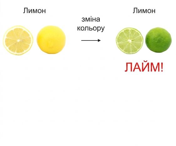 Жовтий лимон і зелений лайм виглядають однаково, відрізняються лише кольором.