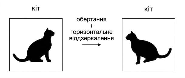 Зображення кота, відзеркалене горизонтально й повернуте.