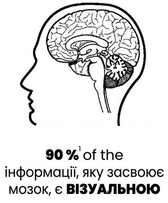 Зображення людського мозку