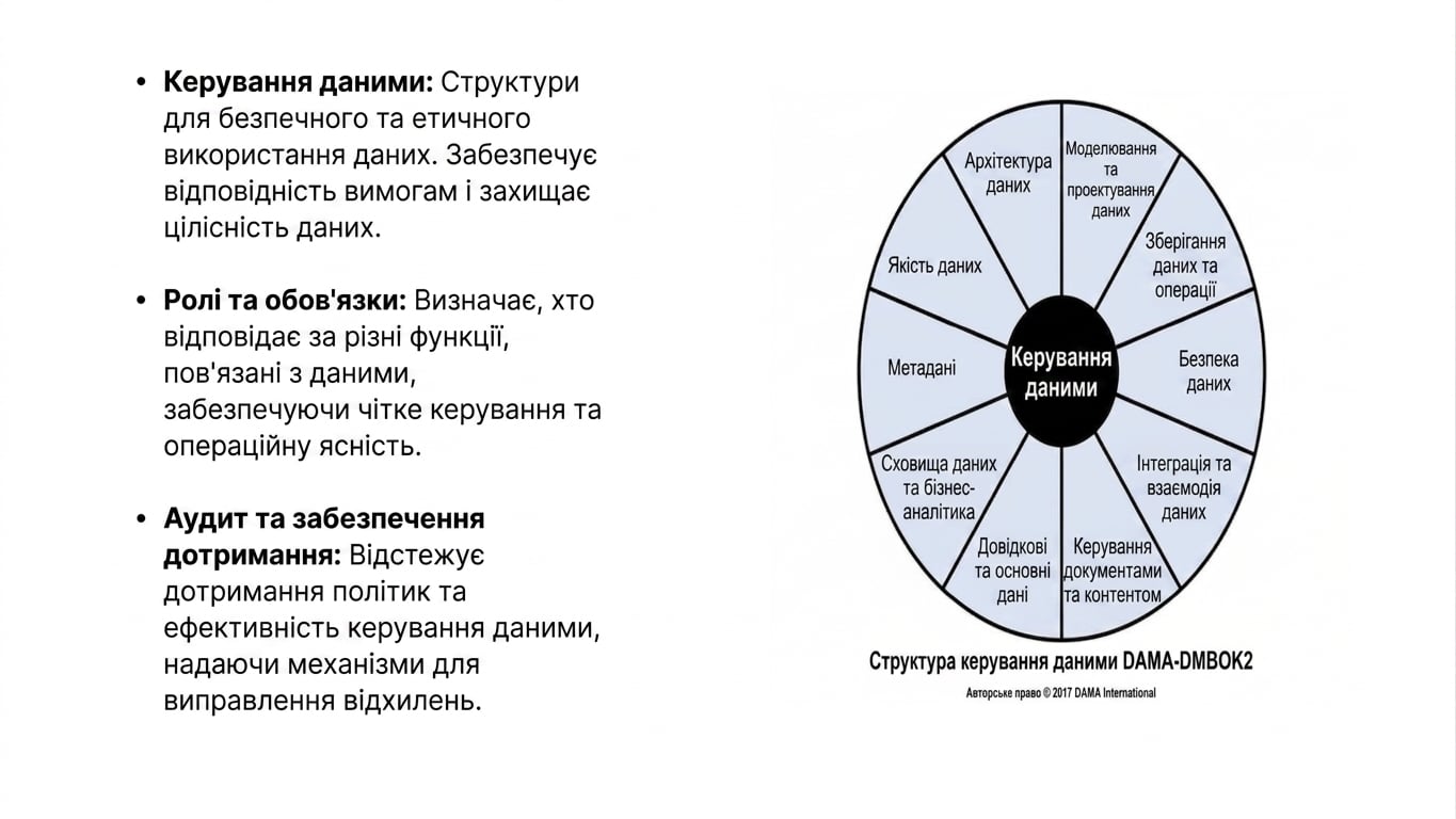 Колесо з елементами Data Governance