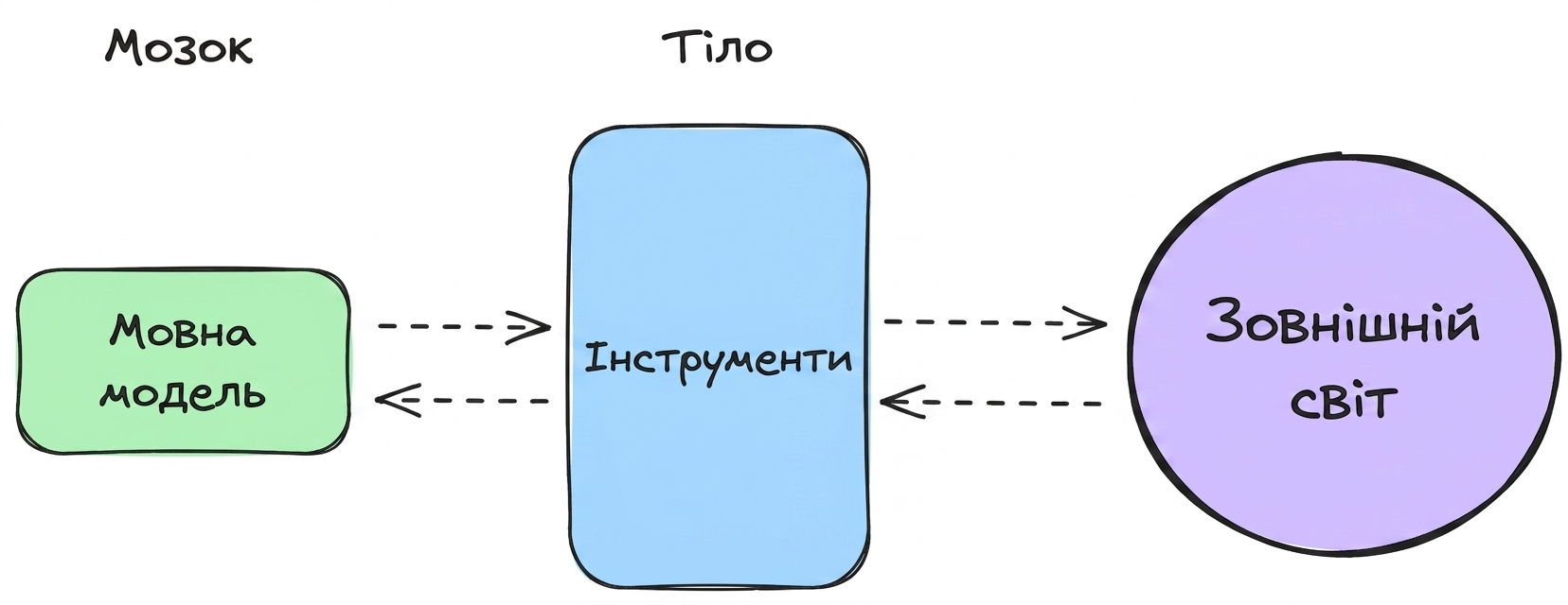 мозок_тіло