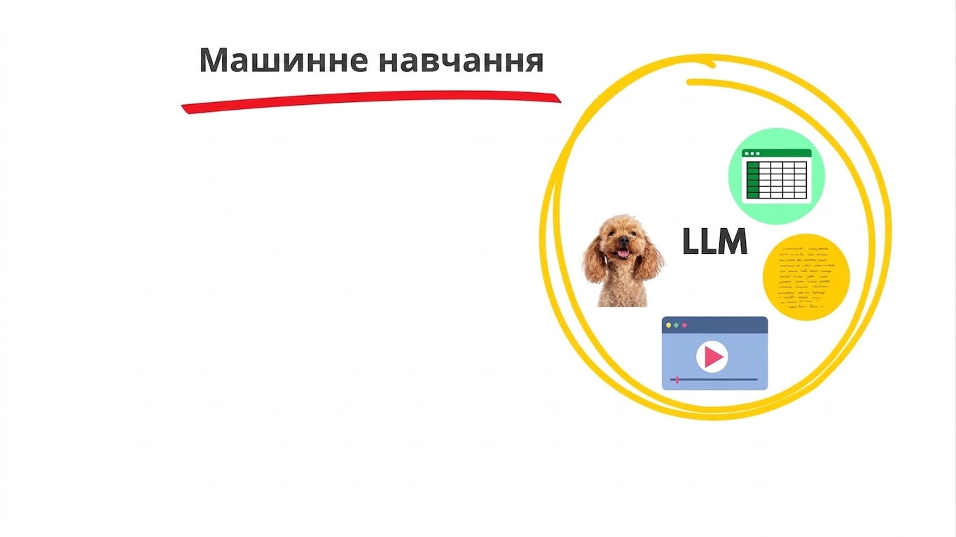 llms5.jpg