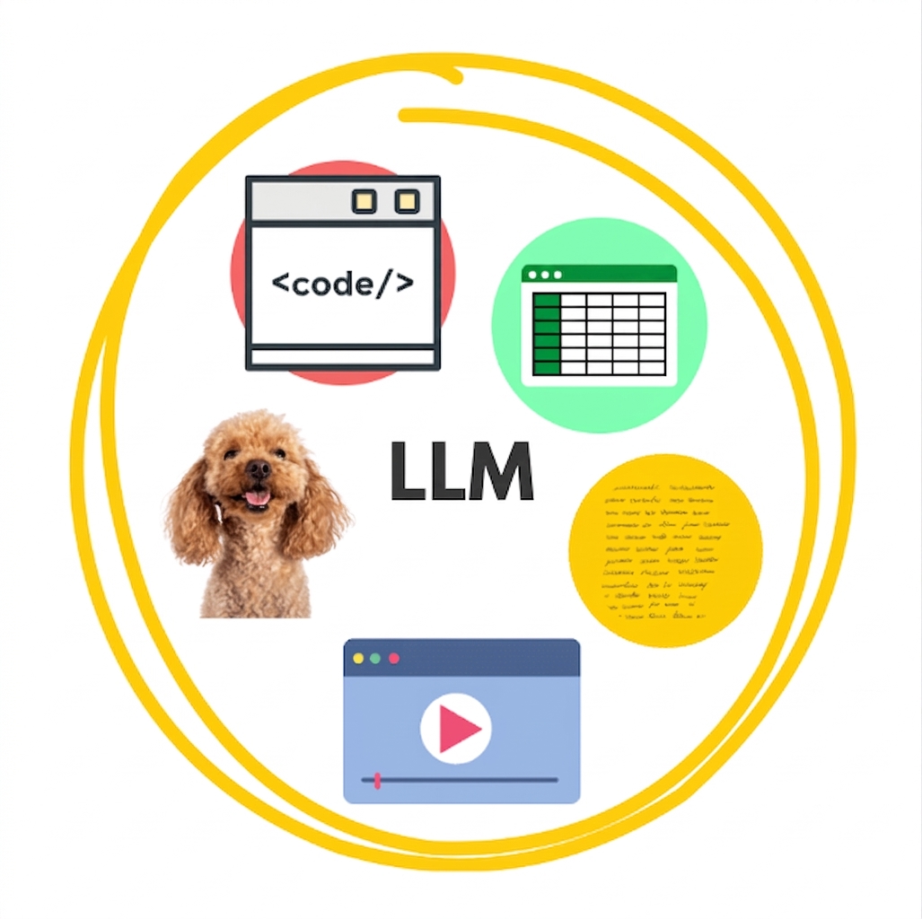 LLM