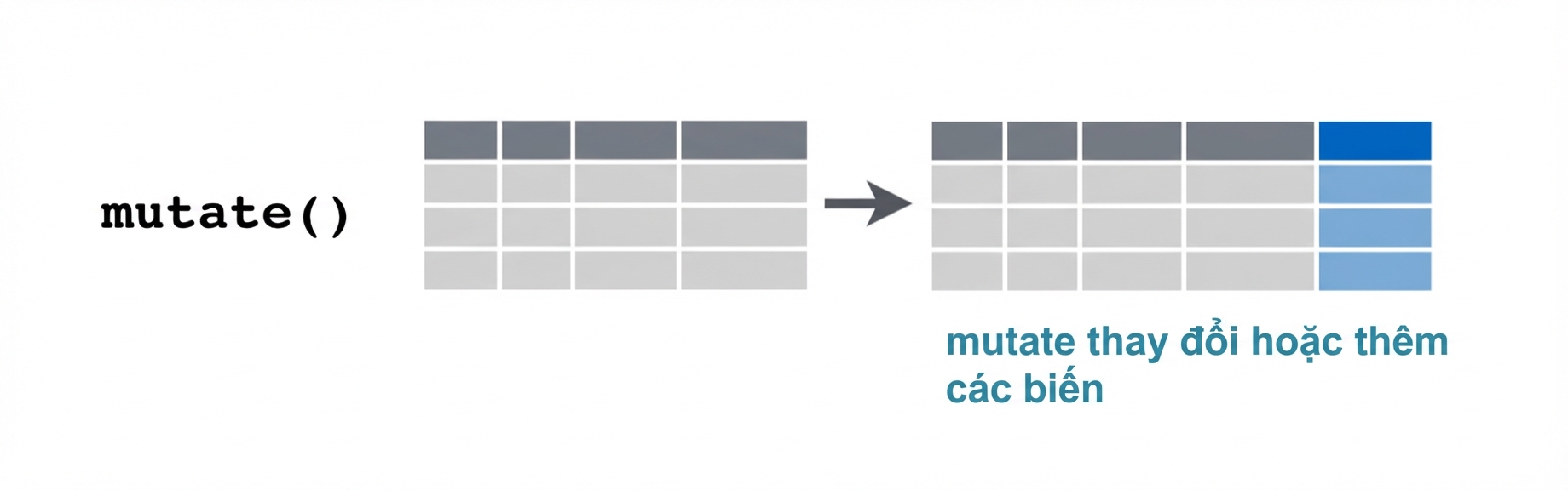 Động từ mutate 2