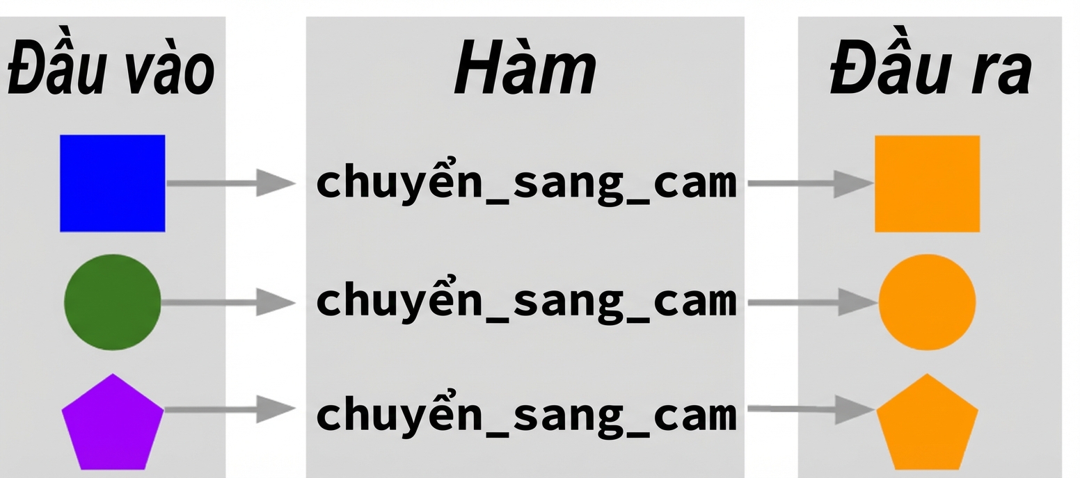 ví von-hàm
