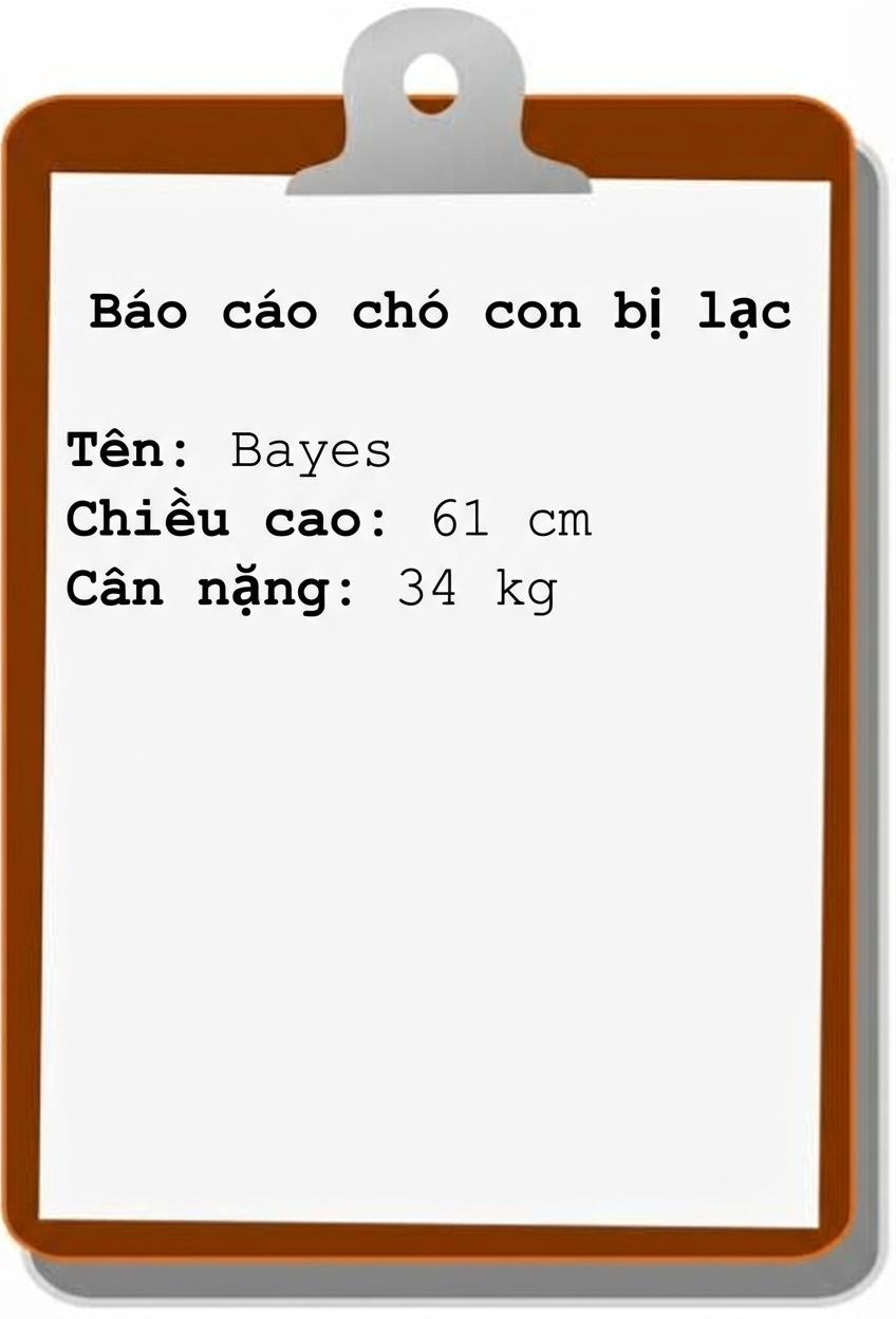 báo cáo cún con bị lạc