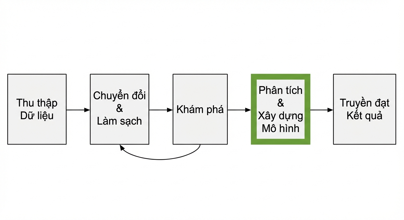 Quy trình phân tích dữ liệu với phần analyze và build được đánh dấu
