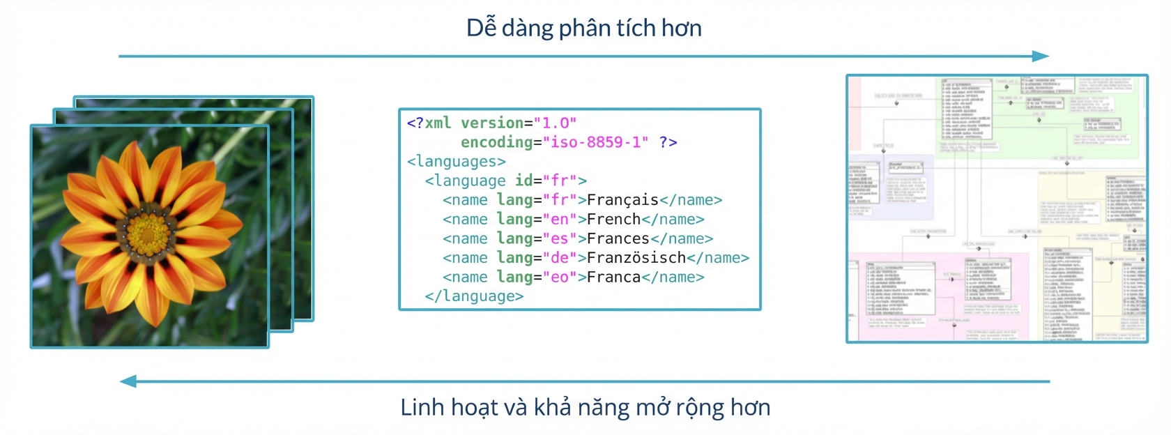 Sơ đồ phổ giữa dữ liệu có cấu trúc và phi cấu trúc