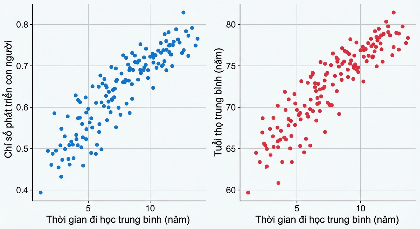 Biểu đồ phân tán về số năm đi học, tách thành hai ô cho chỉ số phát triển con người và tuổi thọ