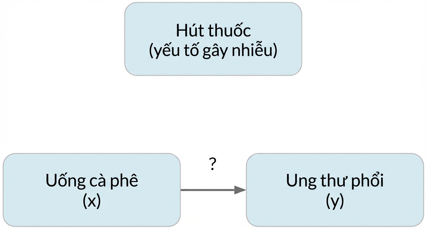 Uống cà phê (x) trỏ đến ung thư phổi (y) với hút thuốc (biến nhiễu) phía trên